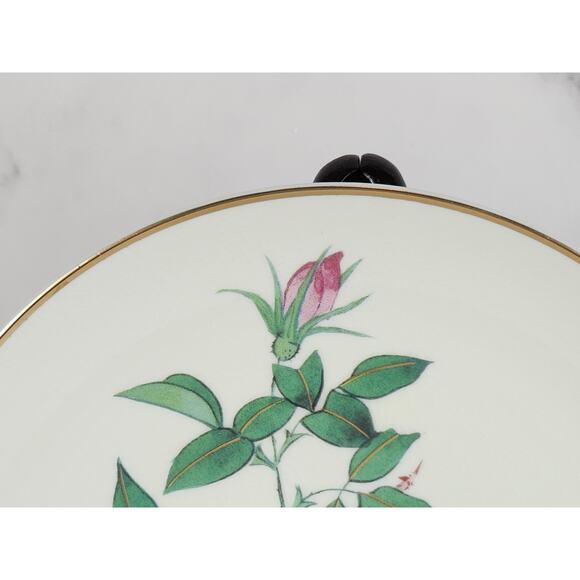 Satsuma White Eyed Warbler Plate Wall Decor 7 1/2" The Flowering Of Spring Japan - Picture 6 of 14